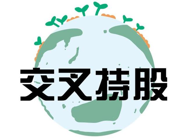 交叉持股安排设计(交叉持股怎么计算持股比例)鞍山市