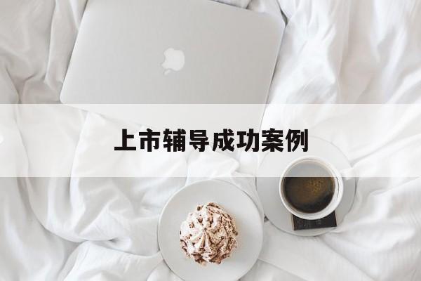 上市辅导成功案例(上市辅导成功后肯定会上市吗)鞍山市